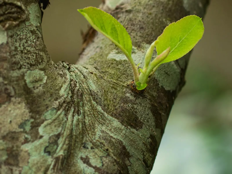Timehe Packaging Mission Towards A Greener Future